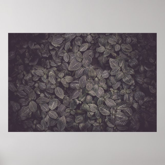 PÓSTER HOJAS VERDES (Frente)