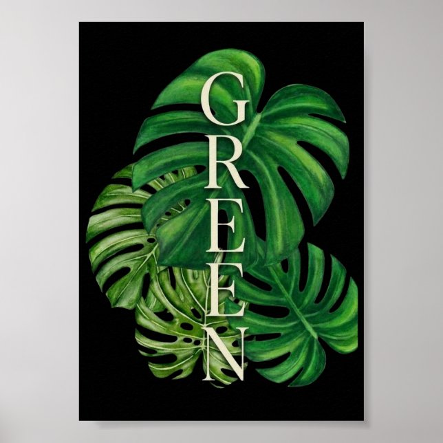 Póster Hojas verdes de Monstera (Frente)