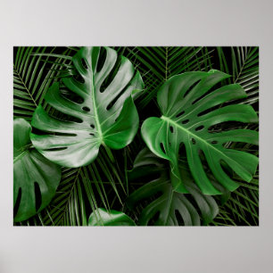 Póster Hojas verdes de monstera y hojas de palma