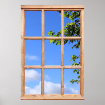 Hojas Verdes y Vista del Cielo de Verano desde una