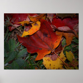 Póster Hojas Vibrantes de Otoño
