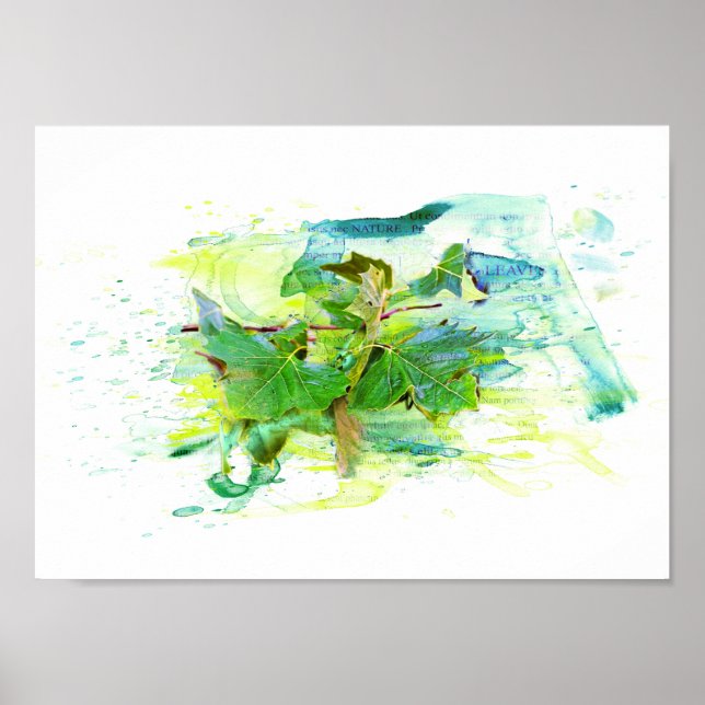 Póster Hojas - Watercolor, acuarela, ilustración/ (Frente)