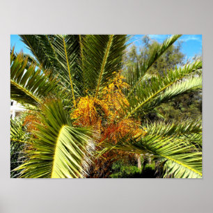 Póster Hojas y flores de palmera