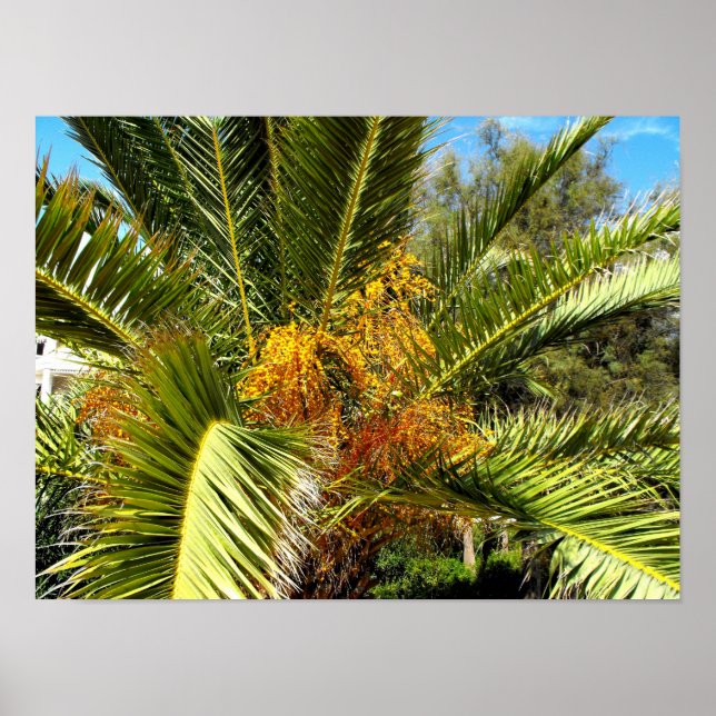 Póster Hojas y flores de palmera (Frente)