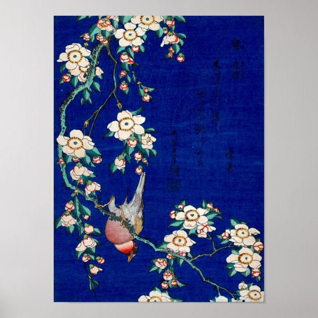 Póster Hokusai Bullfinch en una rama de cerezos llorosos (Frente)