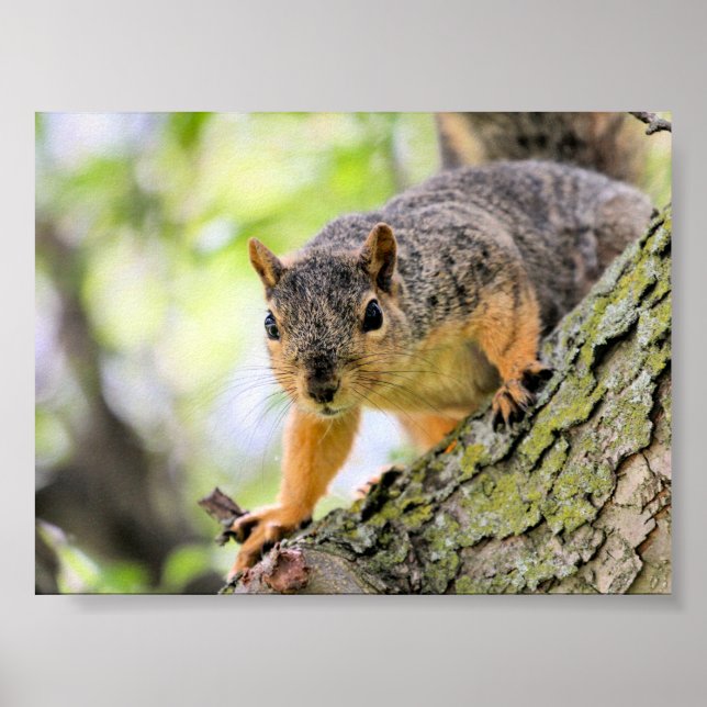 Póster Hola (Frente)