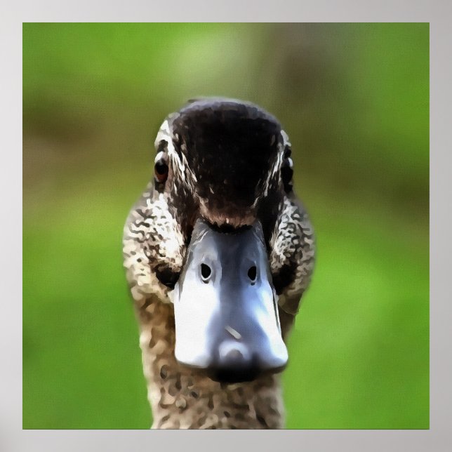 Póster Hola Ducky Quirky Duck Retrato (Frente)