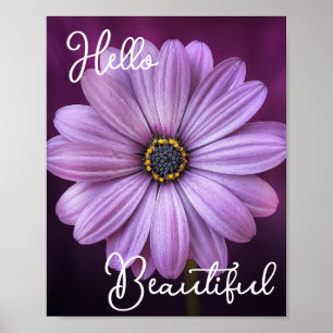 Póster Hola Hermosa Flor Púrpura