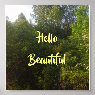 Póster Hola Hermoso
