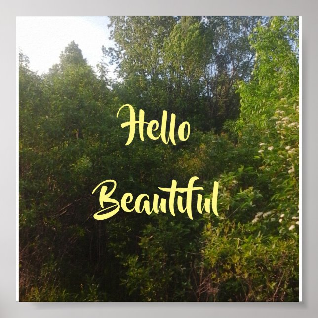 Póster Hola Hermoso (Frente)