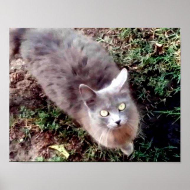 Póster Hola, ¿Me Escuchas? (Frente)