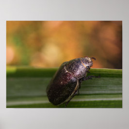 Póster ¡Hola Mundo!