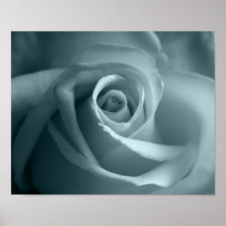 Póster Hola Rosa