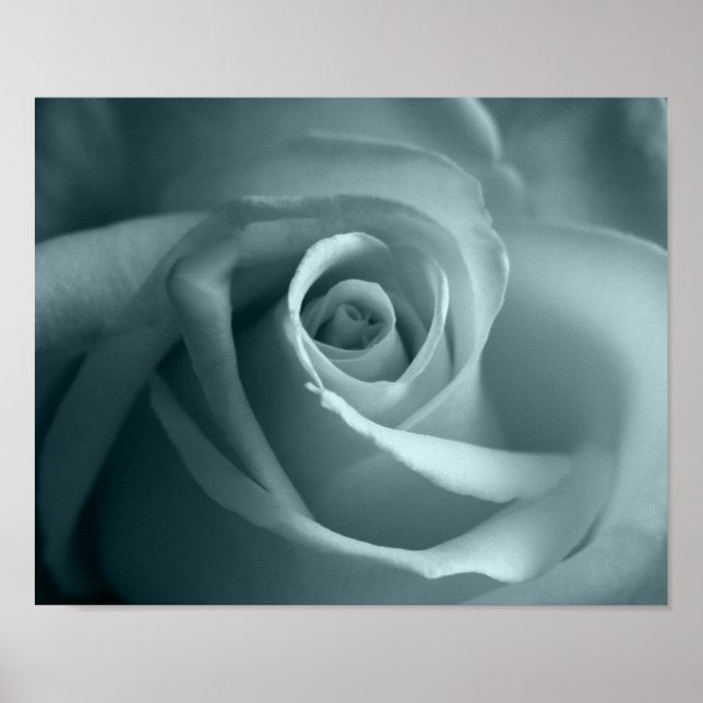 Póster Hola Rosa (Frente)