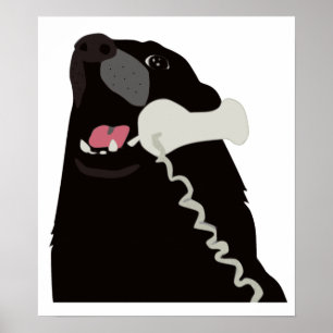 Póster HOLA SÍ ESTE ES EL teléfono del PERRO