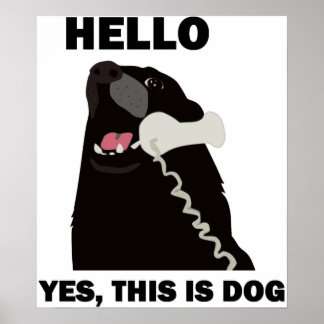 Póster HOLA SÍ ESTE ES EL teléfono del PERRO