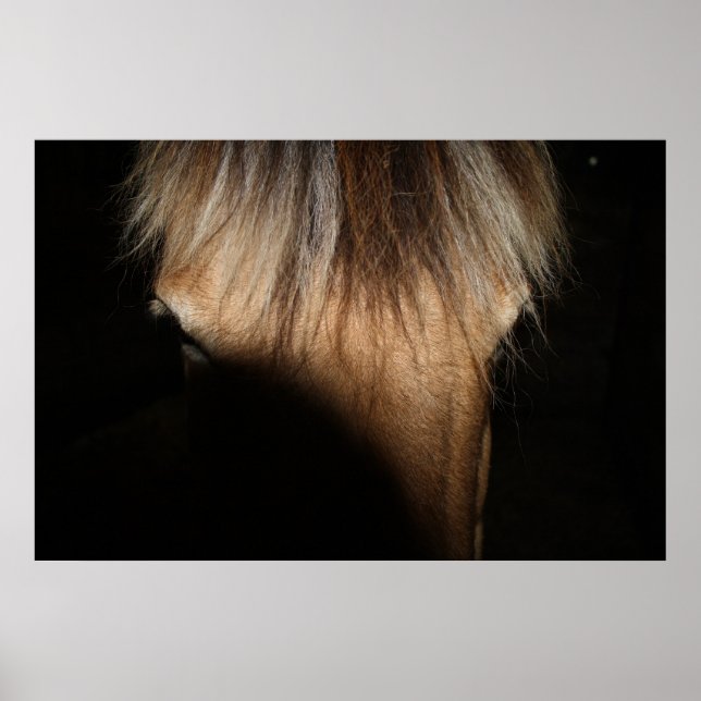 Póster Hola, Stranger - Poster (Frente)