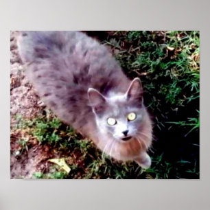 Póster Hola, te llamo