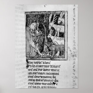 Póster Holanda noble, ilustracion "Roman de Renart"