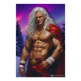 Póster Holiday Warrior