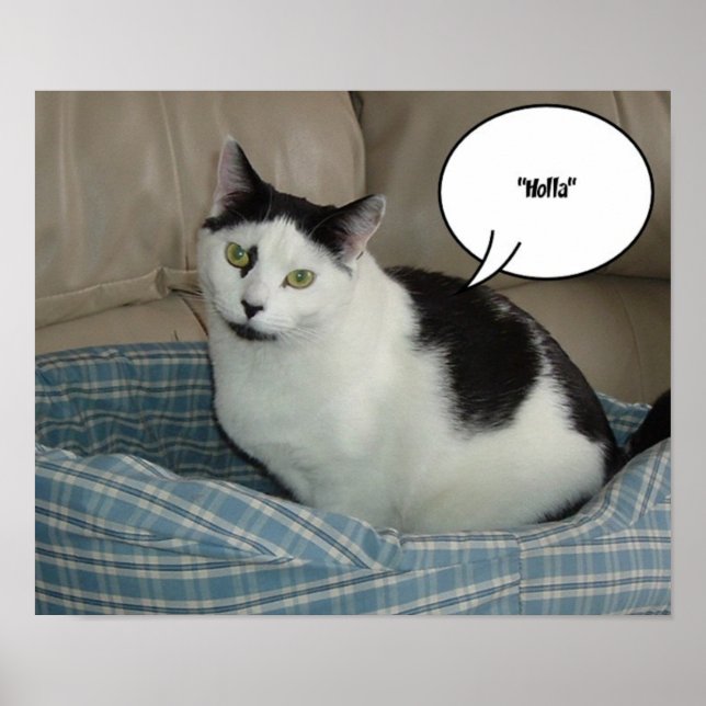 Póster ¡Holla!/Hola (Frente)
