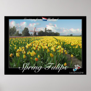 Póster Holland Spring Tulips Landscape 3D Anaglyph Poster