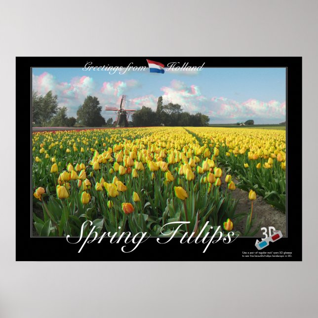 Póster Holland Spring Tulips Landscape 3D Anaglyph Poster (Frente)