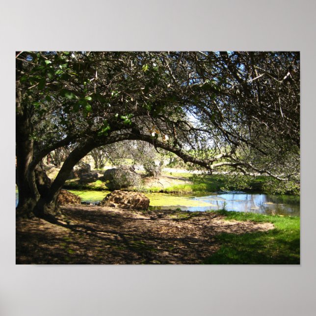 Póster "Hollow somnoliento" (Frente)