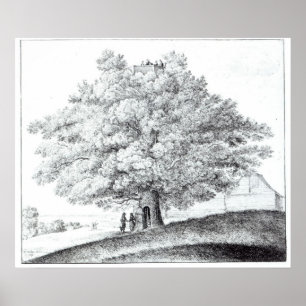 Póster Hollow Tree at Hampstead, 1663
