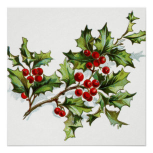 Póster Holly Berries 001