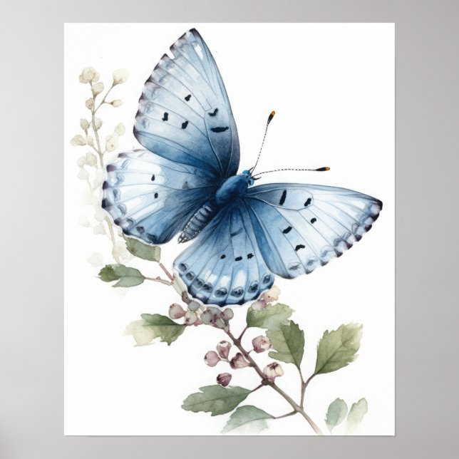 Póster Holly Blue Butterfly Art Print Poster (Frente)