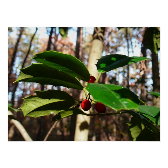 Póster Holly Leaves I Holiday Botanical (Anverso)