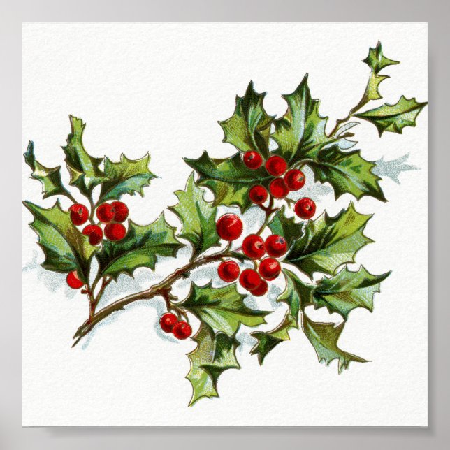 Póster HollyBerries20150801 (Frente)