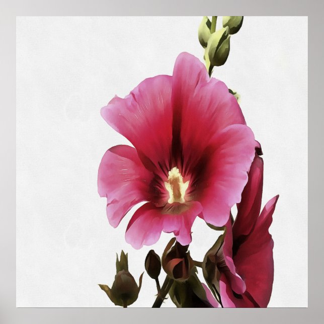Póster Hollyhock Rosa Celestial Flor Malva Floral (Frente)