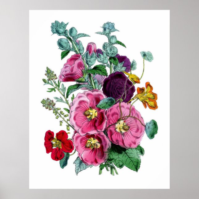 Póster Hollyhocks botánicos de época (Frente)