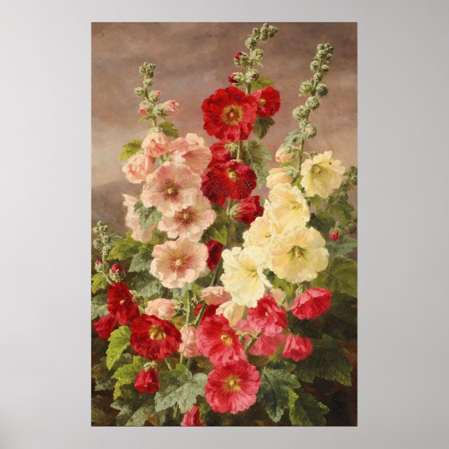 Póster Hollyhocks rojo, blanco y rosa, Christensen (Frente)