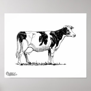 Póster Holstein Cow