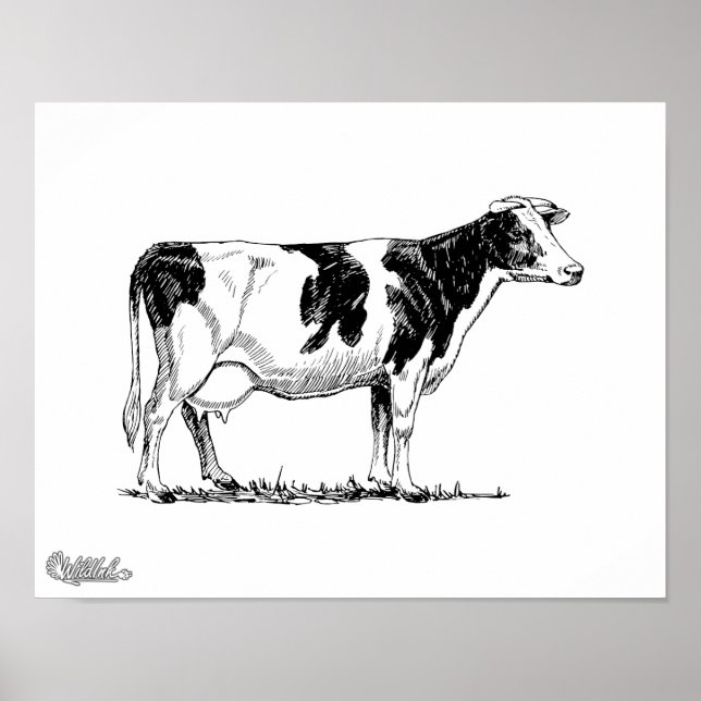 Póster Holstein Cow (Frente)