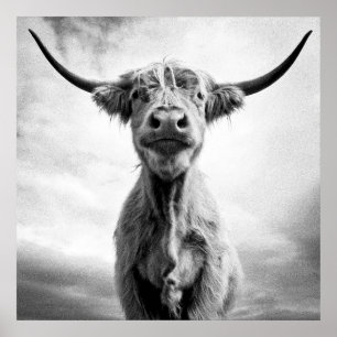 Póster ¡Holy Cow!