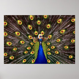 Póster Holy Guacamole Peacock