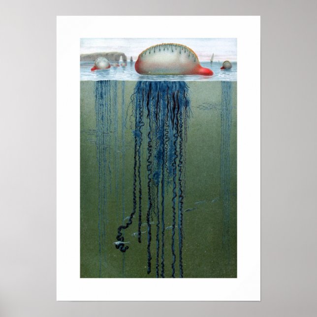 Póster Hombre de guerra de Portugal (Frente)