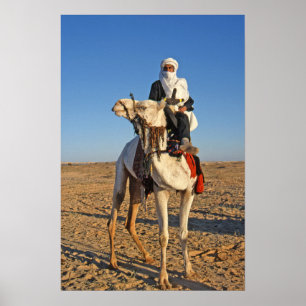 Póster Hombre en un Poster de camellos