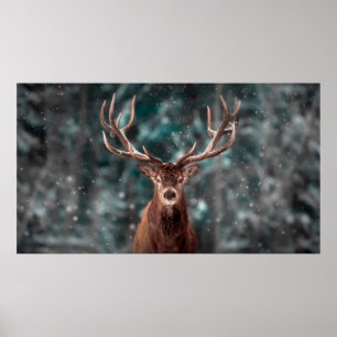 Póster Hombre noble de ciervo en bosque de nieve de invie