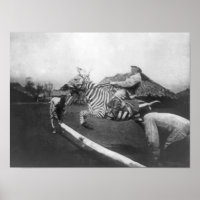 Hombre viajando en zebra saltando foto de la cerca