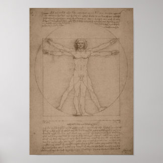 Póster Hombre vitruviano - Leonardo da Vinci
