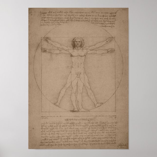 Póster Hombre vitruviano - Leonardo da Vinci (Frente)