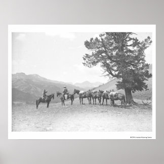 Póster Hombres con caballos de compañía mirando sobre una