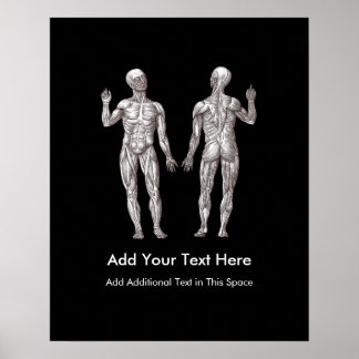 Póster Hombres musculares - Anatomía del Sistema Muscular