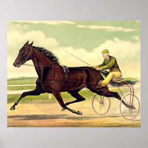 Póster Hombro Sulky superior