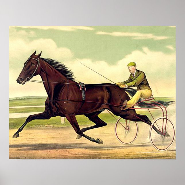 Póster Hombro Sulky superior (Frente)